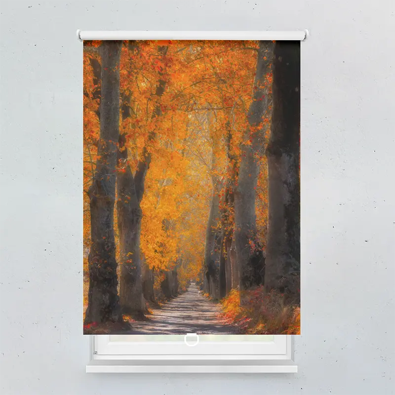 Springrollo Motiv "Herbstschatten"