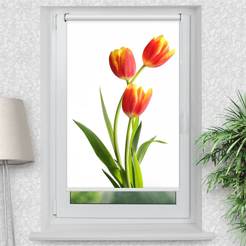 Klemmfix Rollo "Tulpen" | Motiv-Klemmrollo