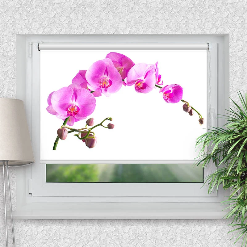 Klemmfix Rollo "Orchidee" | Motiv-Klemmrollo