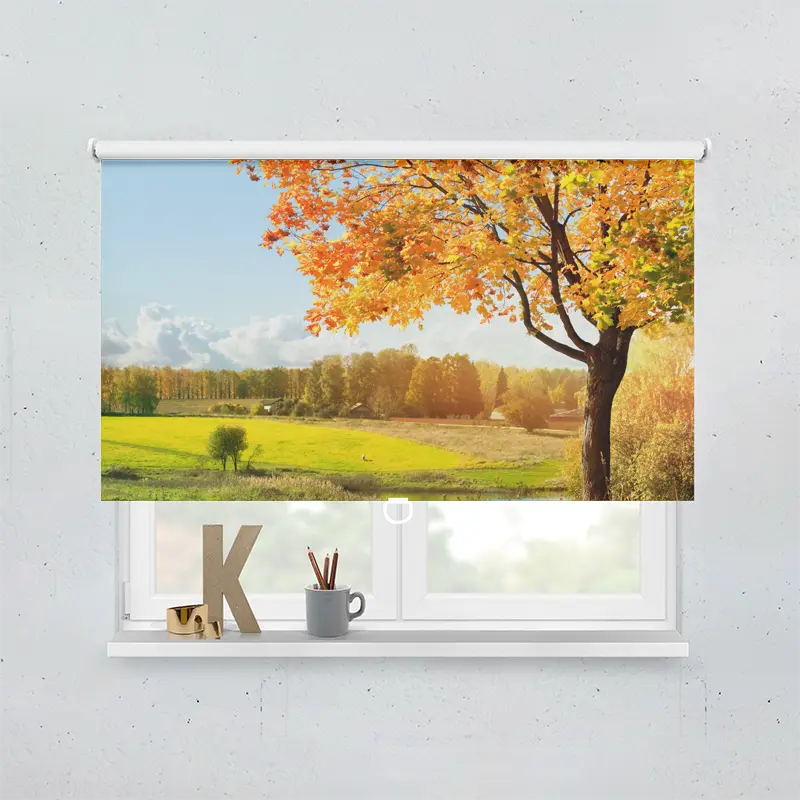 Springrollo Motiv "Landschaft Im Herbst"