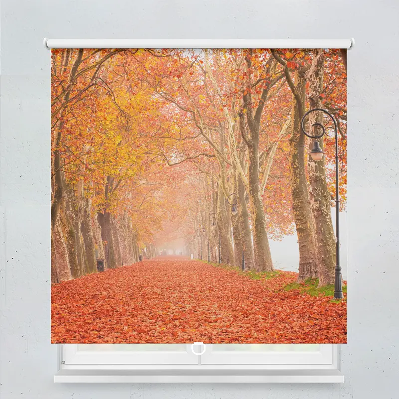 Springrollo Motiv "Herbstsee"