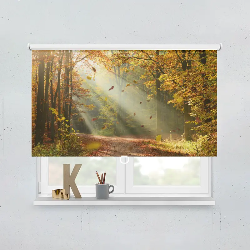 Springrollo Motiv "Herbstwald"