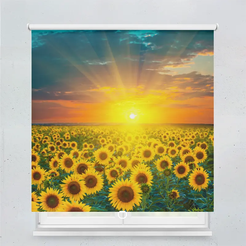 Springrollo Motiv "Sonnenblumenfeld Im Sonnenuntergang"
