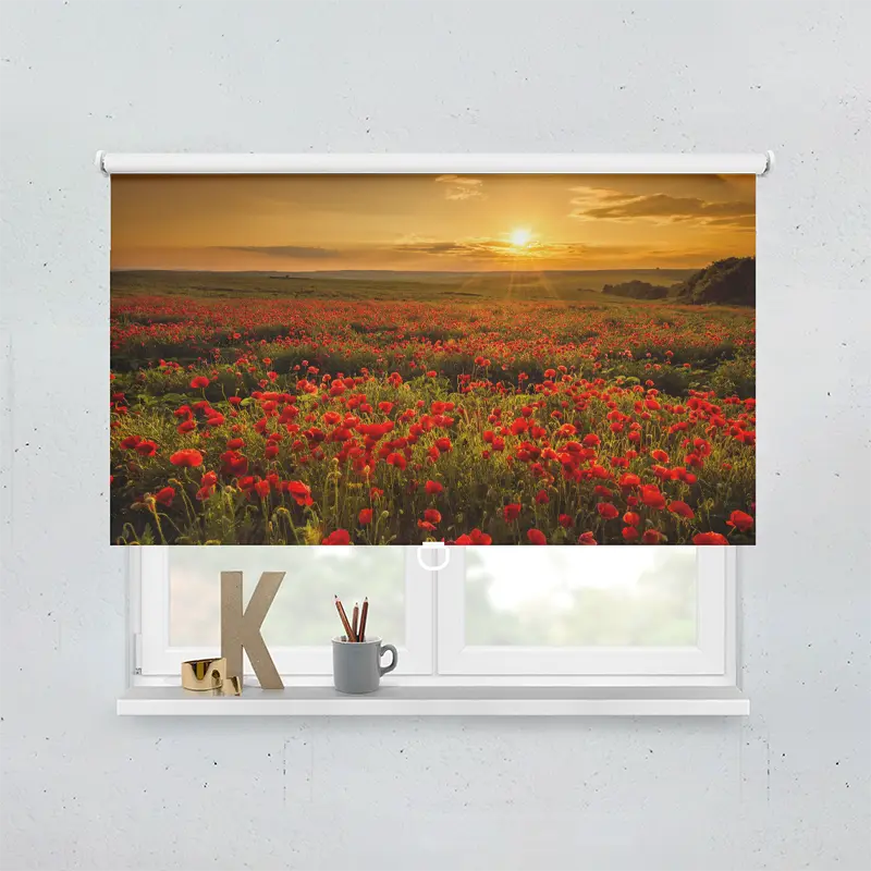 Springrollo Motiv "Mohnblumen Feld"