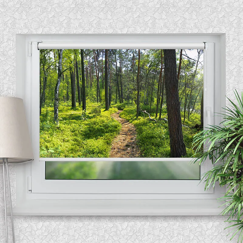 Klemmfix Rollo "Wald Sonnenstrahlen Panorama" | Motiv-Klemmrollo