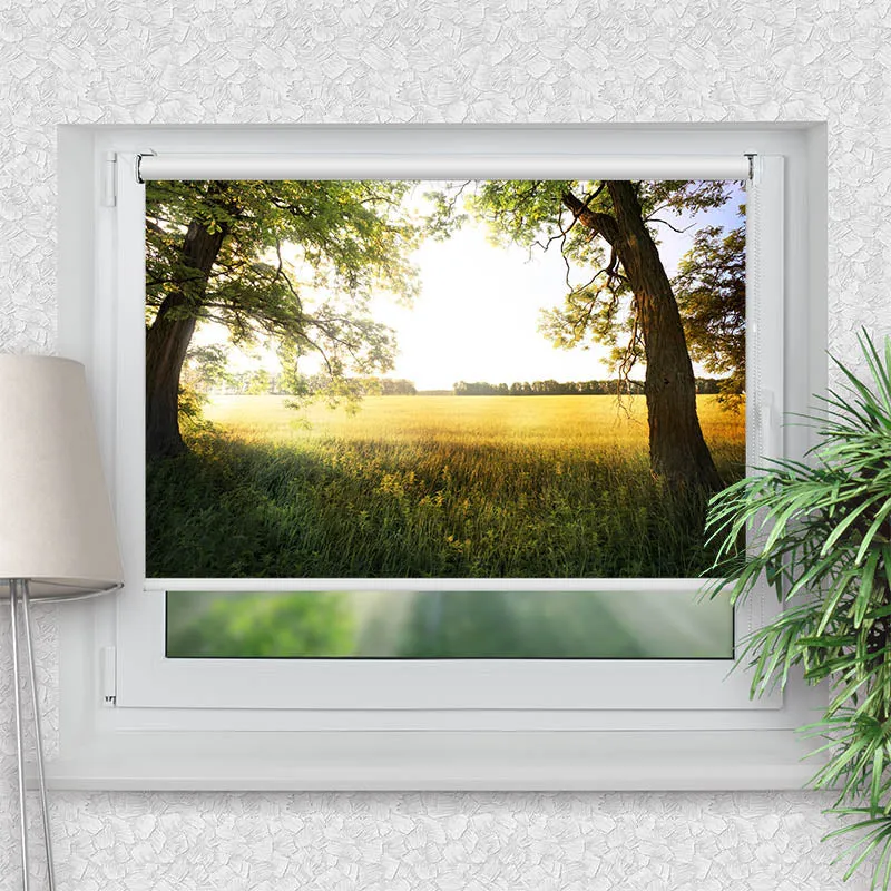 Klemmfix Rollo "Feld mit Sonnenlicht" | Motiv-Klemmrollo