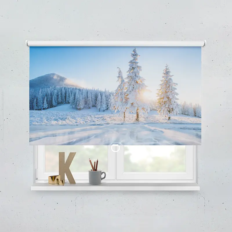 Springrollo Motiv "Winterlandschaft Mit Eis"