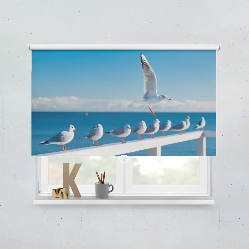 Springrollo Motiv "Moewen Meer"