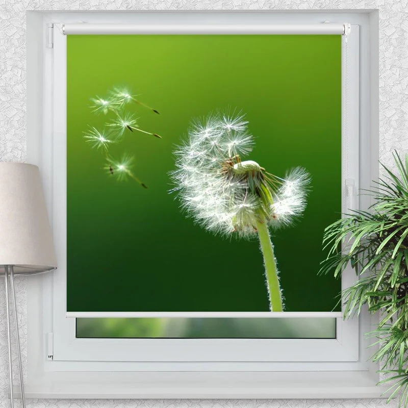 Klemmfix Rollo "Pusteblume" | Motiv-Klemmrollo