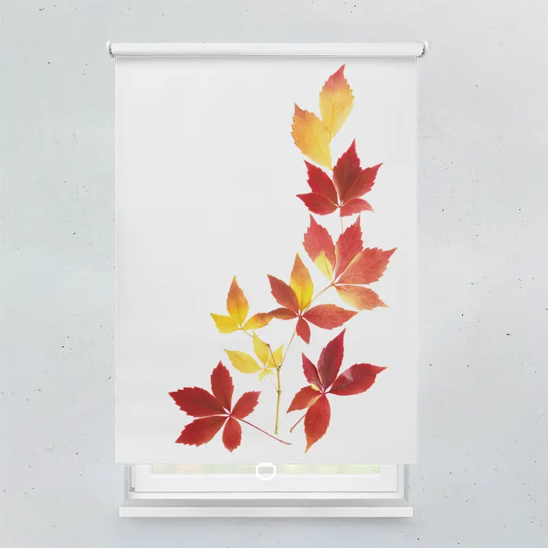 Springrollo Motiv "Herbstblätter"