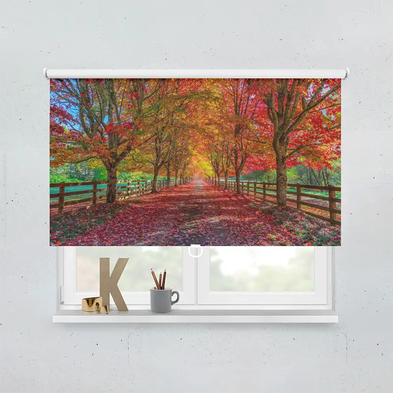 Springrollo Motiv "Herbst Allee"