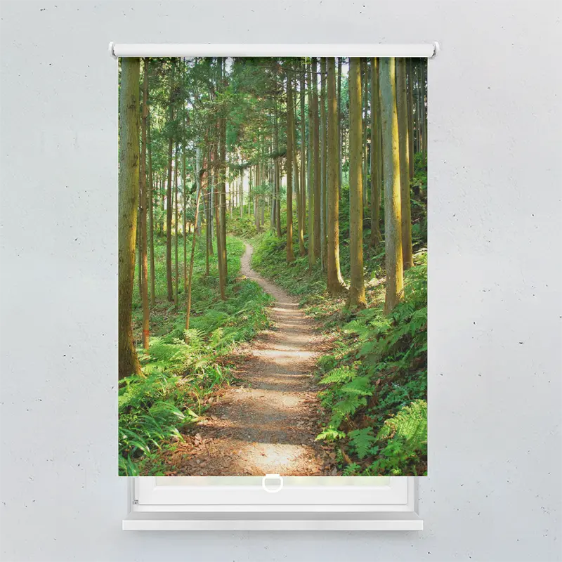 Springrollo Motiv "Wanderweg Wald"