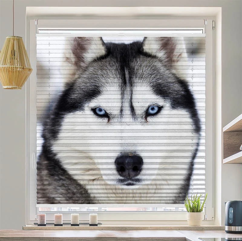 Plissee Motiv "Husky"