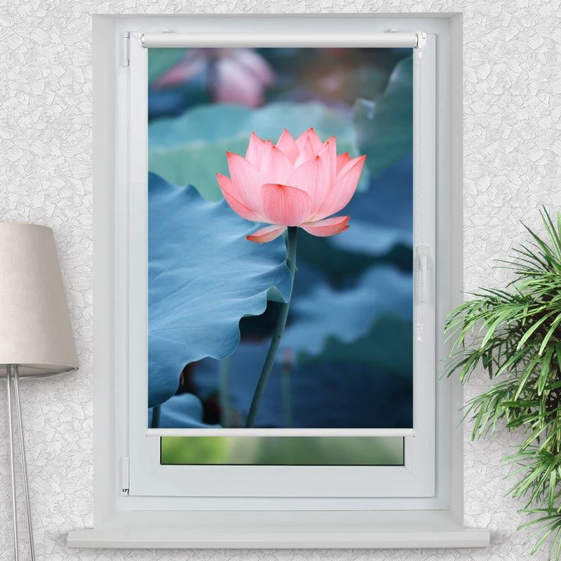Klemmfix Rollo "Lotusblume See" | Motiv-Klemmrollo