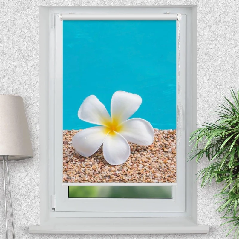 Klemmfix Rollo "Frangipani Wasser" | Motiv-Klemmrollo