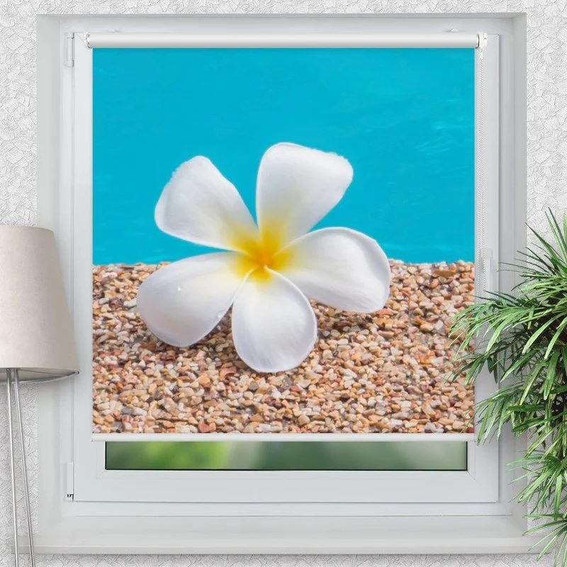 Klemmfix Rollo "Frangipani Wasser" | Motiv-Klemmrollo