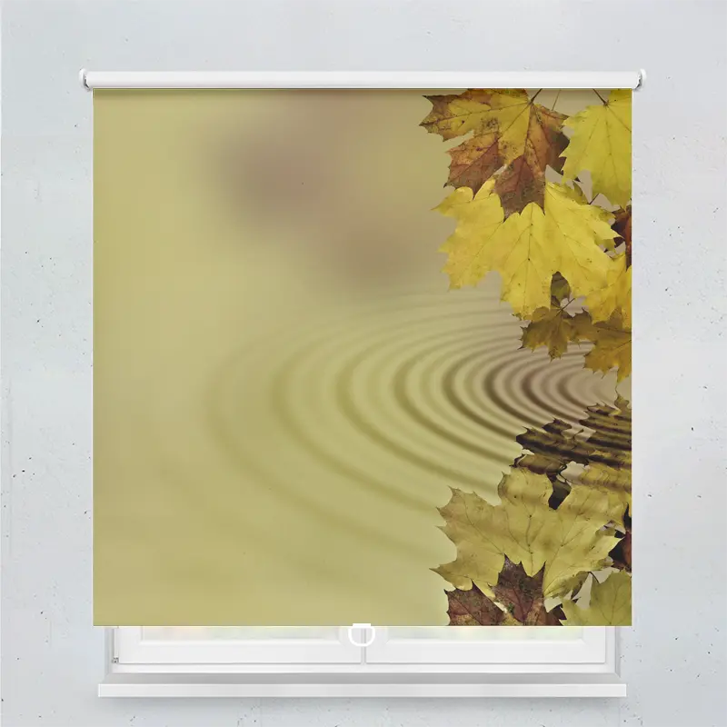 Springrollo Motiv "Herbstblätter Im Wasser"