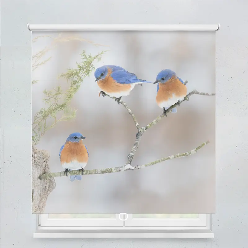 Springrollo Motiv "Drei Drosseln"