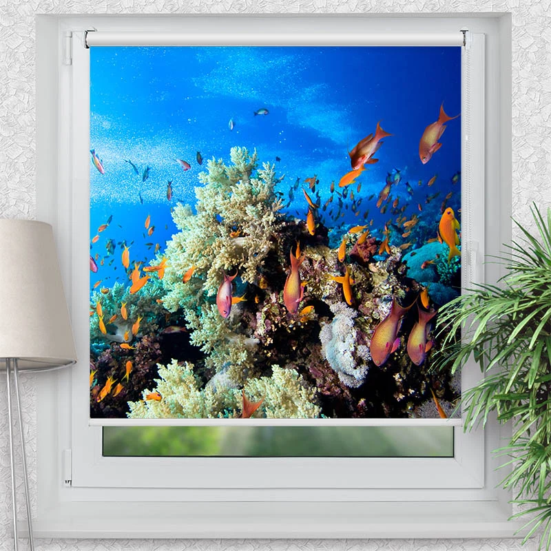 Klemmfix Rollo "Korallen und Fische" | Motiv-Klemmrollo