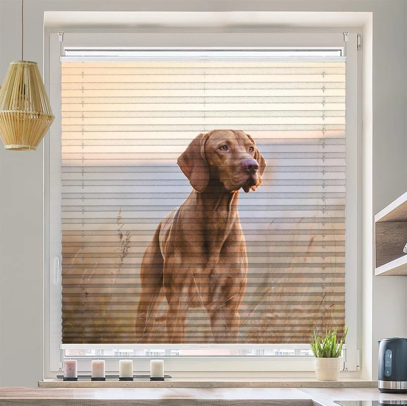Plissee Motiv "Jagdhund"