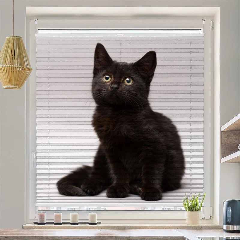 Plissee Motiv "Schwarze Katze Kitten"