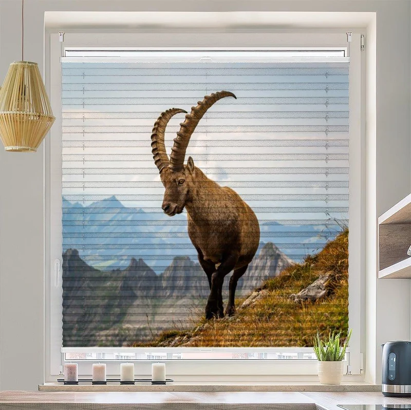 Plissee Motiv "Steinbock Alpen"