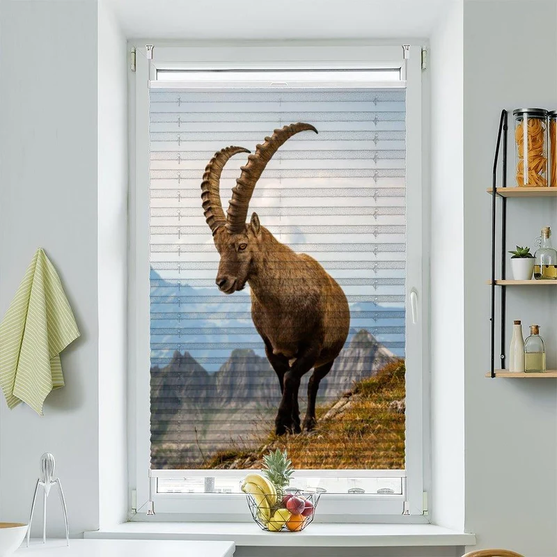 Plissee Motiv "Steinbock Alpen"