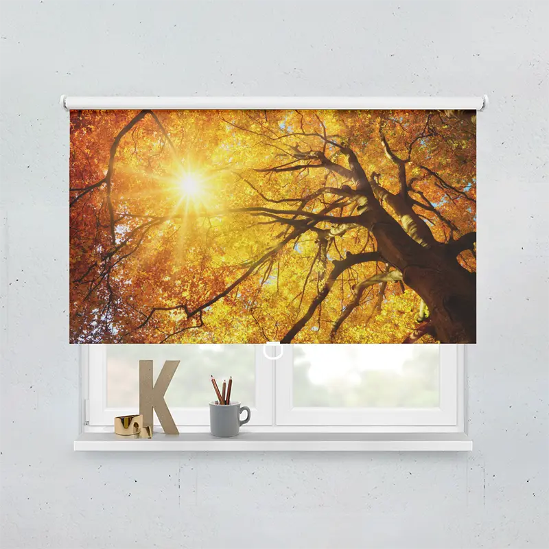 Springrollo Motiv "Baumkrone Herbst Sonnenschein"