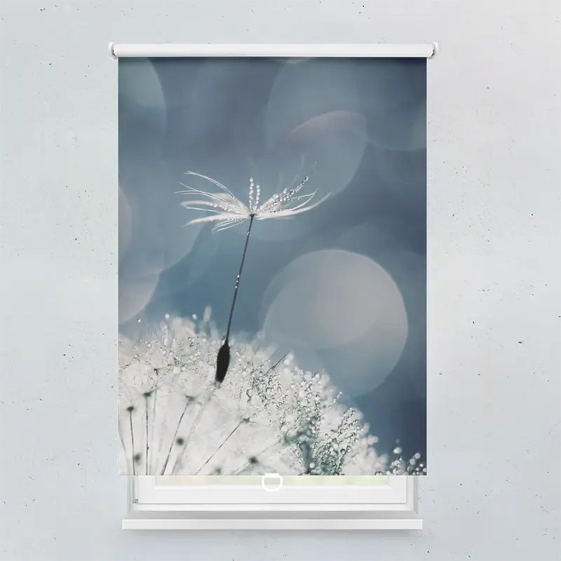 Springrollo Motiv "Pusteblume Wasser Tropfen"