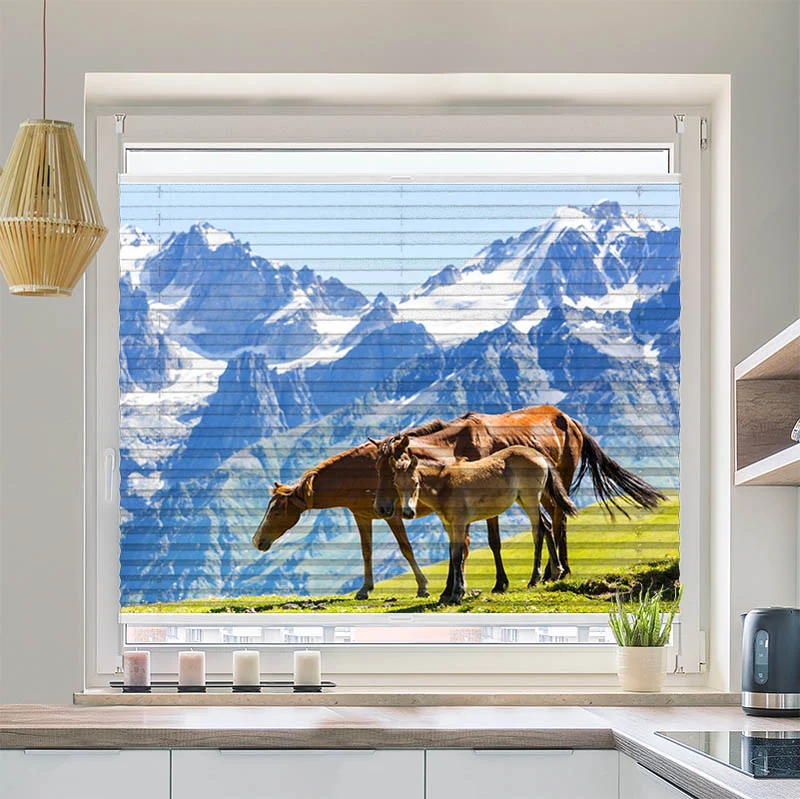 Wabenplissee Motiv "Pferde auf der Alm"