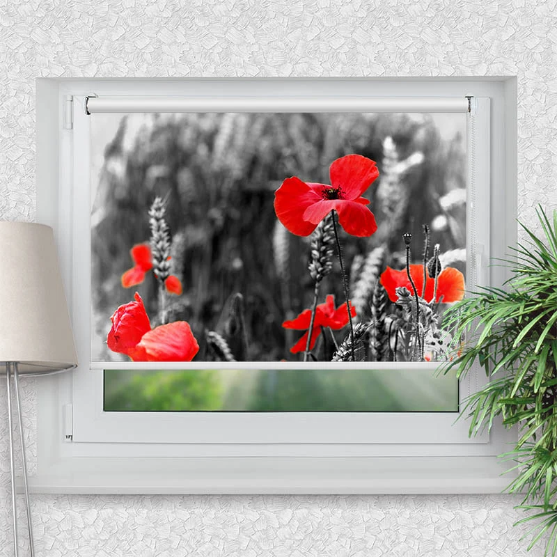 Klemmfix Rollo "Mohnblumen" | Motiv-Klemmrollo