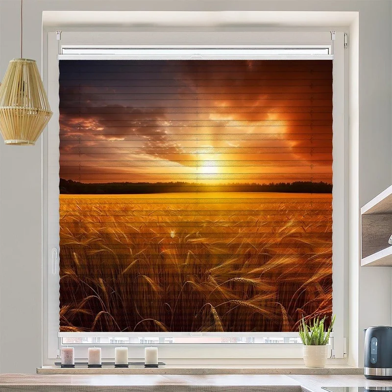 Plissee Motiv "Kornfeld Sonnenuntergang"