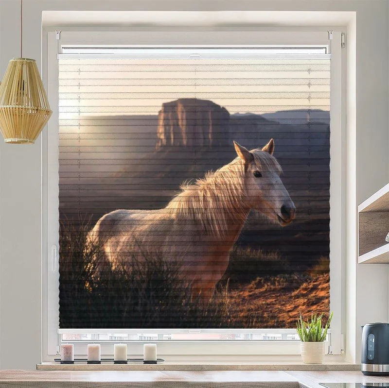 Plissee Motiv "Wildpferd Arizona"