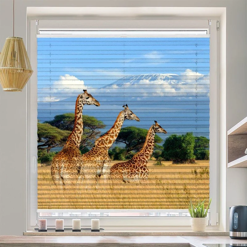 Plissee Motiv "Giraffen Afrika"
