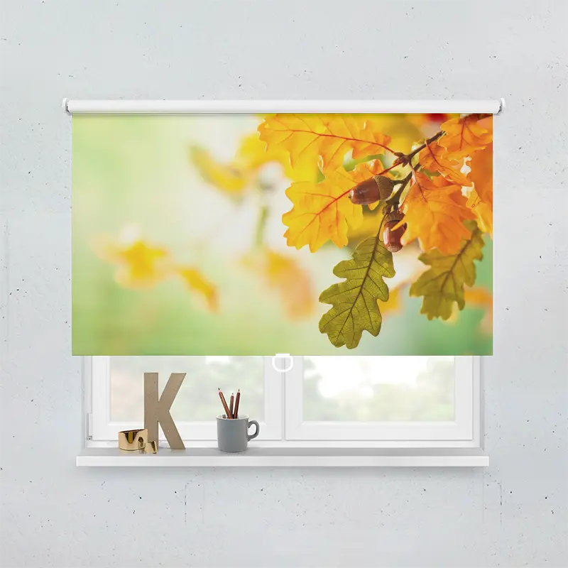 Springrollo Motiv "Eichel Herbst"