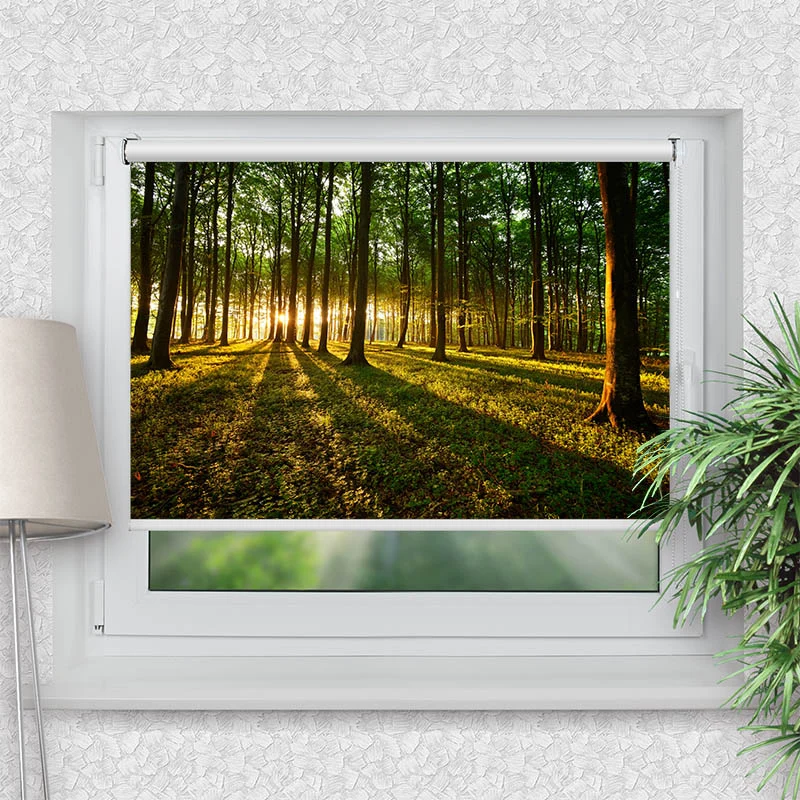 Klemmfix Rollo "Sonnenstrahlen im Wald" | Motiv-Klemmrollo