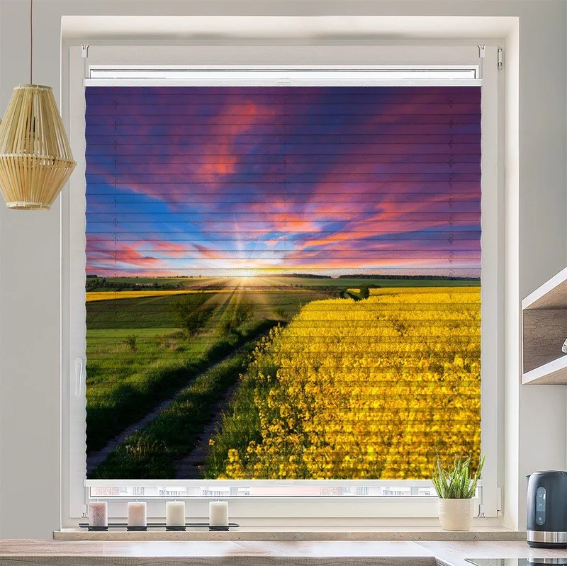 Plissee Motiv "Rapsfeld Sonnenaufgang"