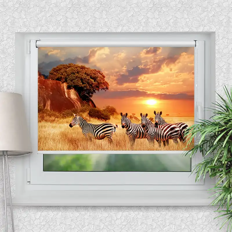Klemmfix Rollo "Zebras In Afrikas Savanne" | Motiv-Klemmrollo
