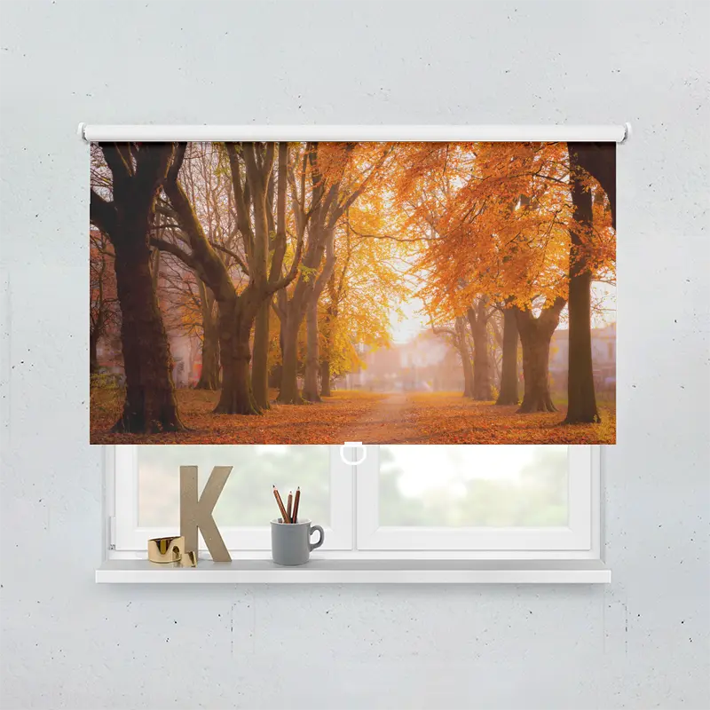 Springrollo Motiv "Herbstbäume"