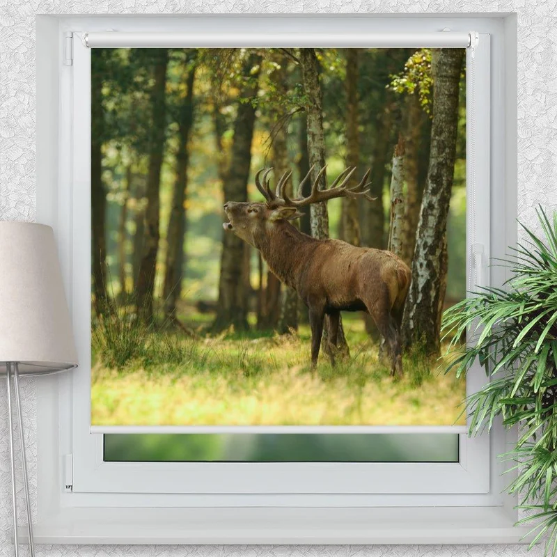 Klemmfix Rollo "Hirsch Wald" | Motiv-Klemmrollo