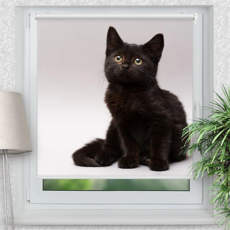 Klemmfix Rollo "Schwarze Katze Kitten" | Motiv-Klemmrollo
