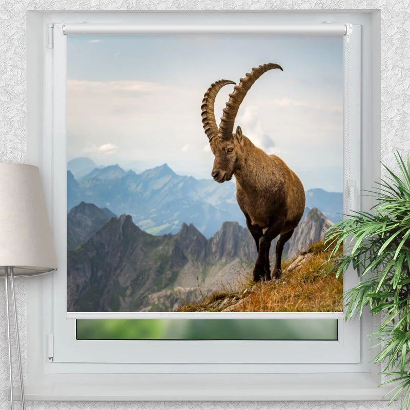 Klemmfix Rollo "Steinbock Alpen" | Motiv-Klemmrollo