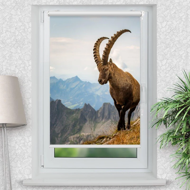 Klemmfix Rollo "Steinbock Alpen" | Motiv-Klemmrollo