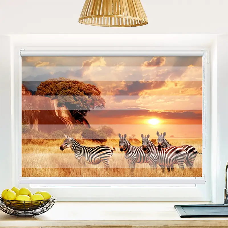Klemmfix Doppelrollo "Zebras In Afrikas Savanne" | Klemm Doppelrollo
