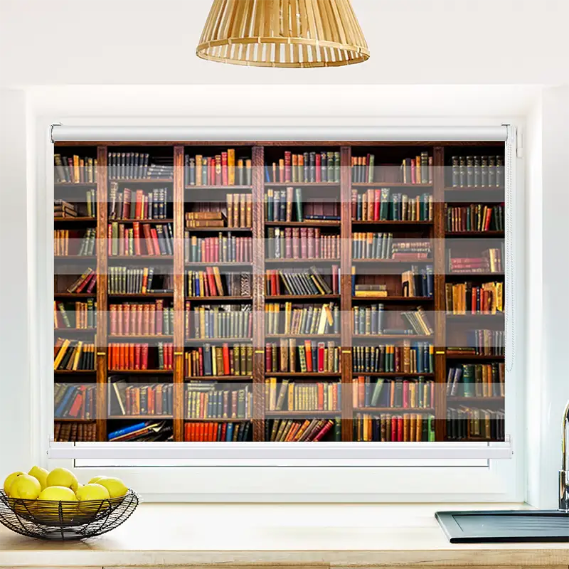 Klemmfix Doppelrollo "Altes Bücherregal" | Klemm Doppelrollo