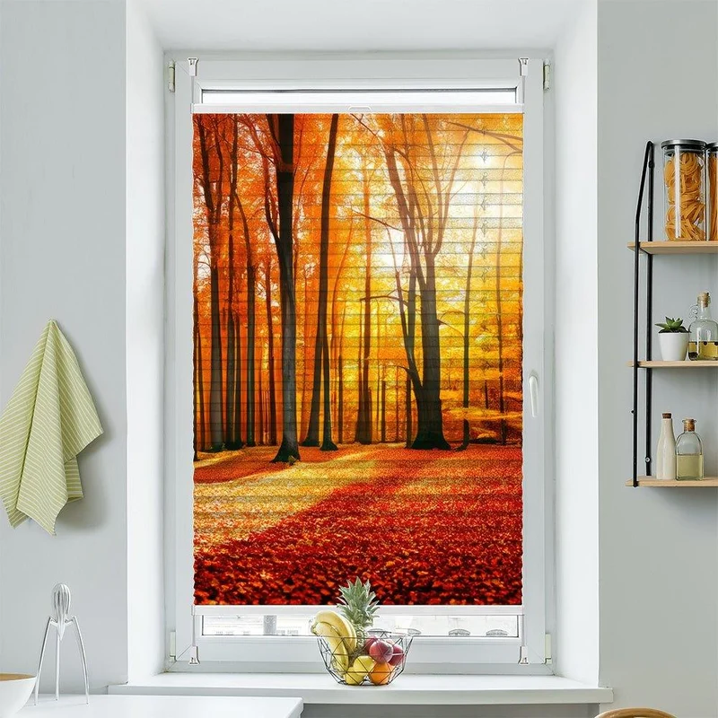 Wabenplissee Motiv "Herbst Wald Sonne"