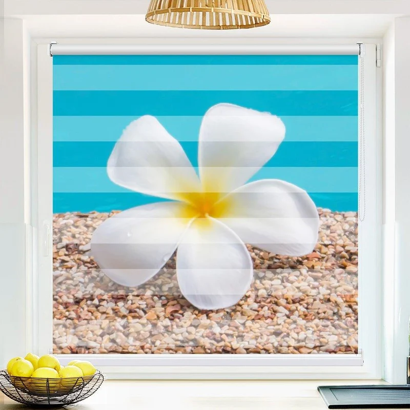 Klemmfix Doppelrollo "Frangipani Wasser" | Klemm Doppelrollo