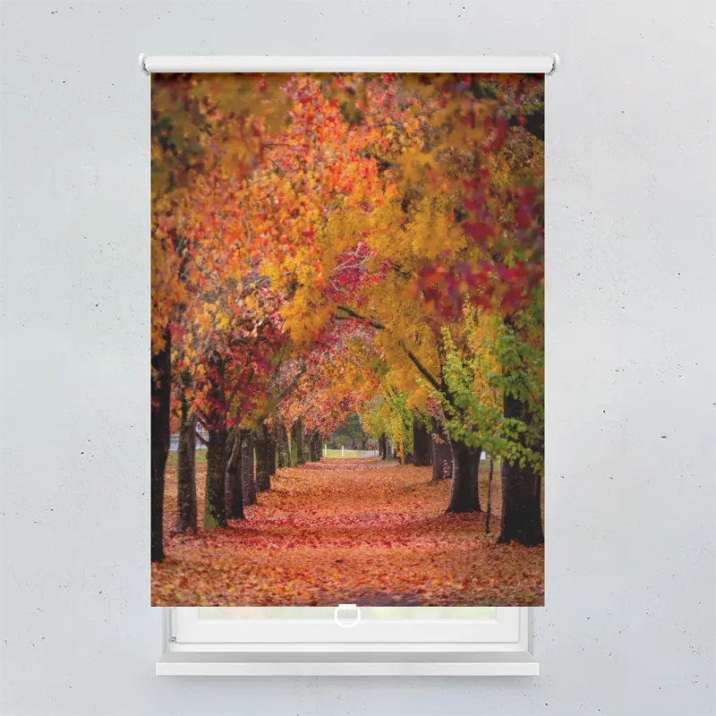 Springrollo Motiv "Herbstweg"