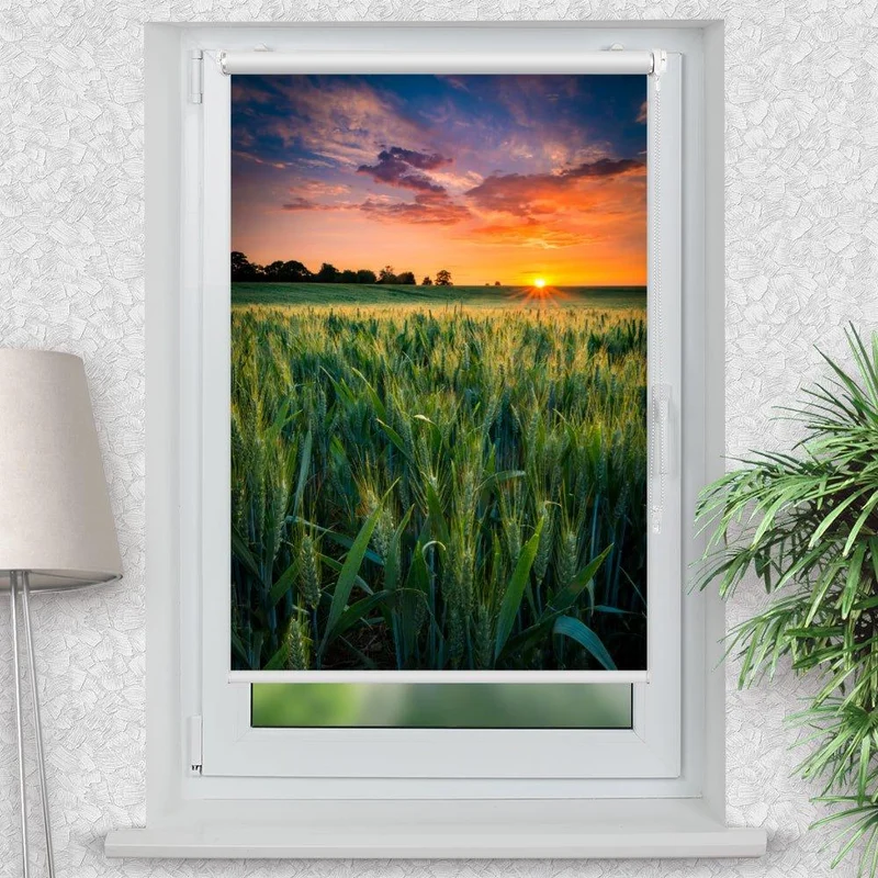 Klemmfix Rollo "Feld Sonnenuntergang" | Motiv-Klemmrollo
