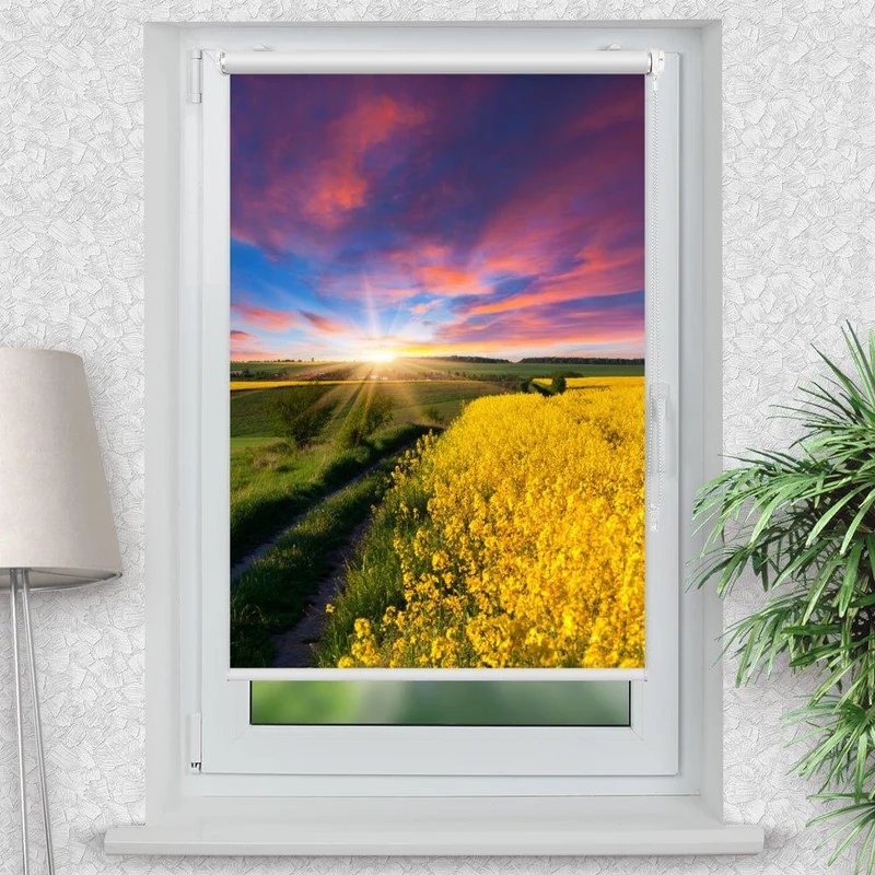 Klemmfix Rollo "Rapsfeld Sonnenaufgang" | Motiv-Klemmrollo
